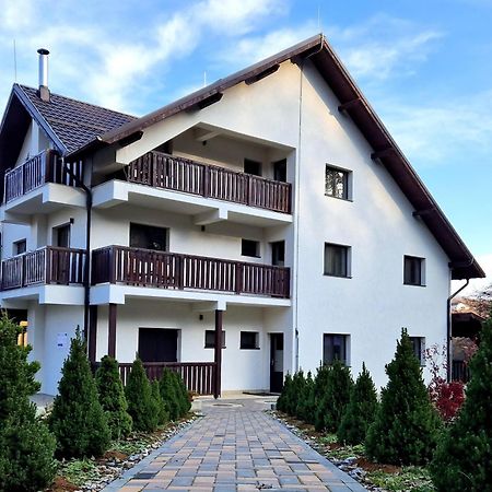 Pensiunea Izvorul Linistii Radaseni エクステリア 写真